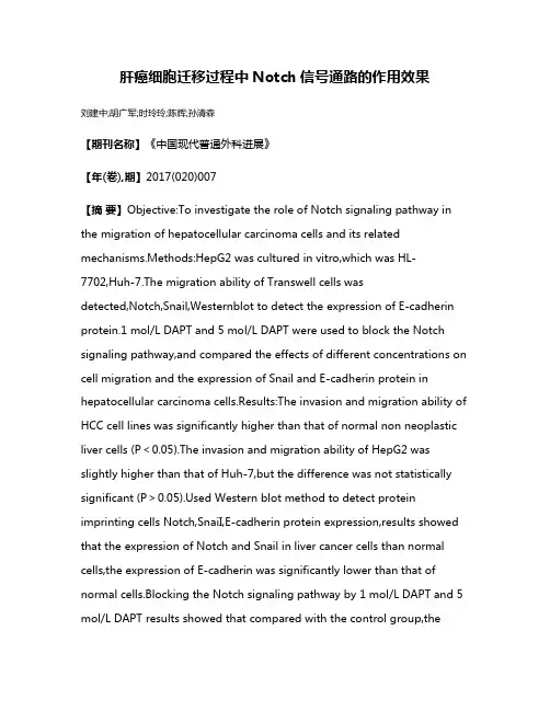 肝癌细胞迁移过程中Notch信号通路的作用效果