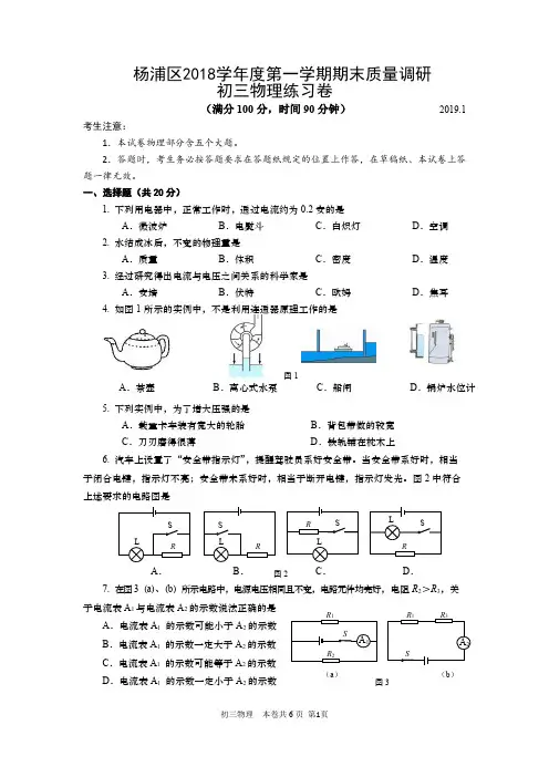 上海市2019年1月上海市物理学科一模考试试卷：杨浦卷(含答案)