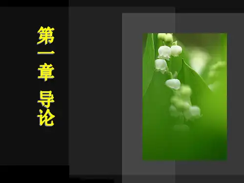 统计学 第一章 总论汇总