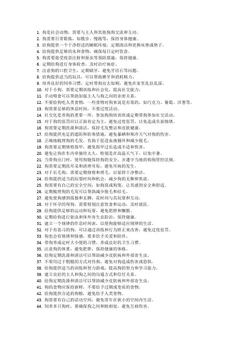 养狗的100条小知识