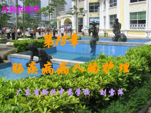外科护理学  第18章 肠疾病病人的护理