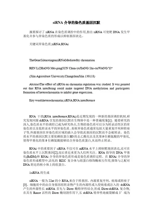 siRNA介导的染色质基因沉默