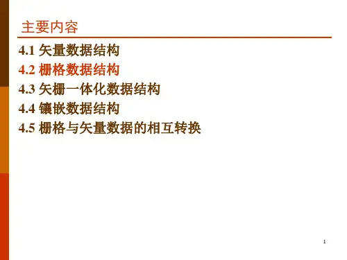 栅格数据结构