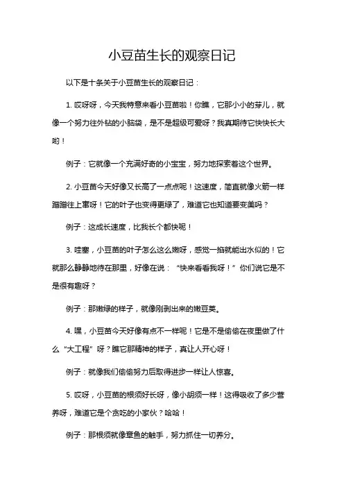 小豆苗生长的观察日记