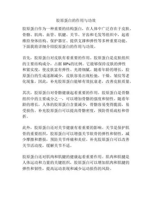 胶原蛋白的作用与功效