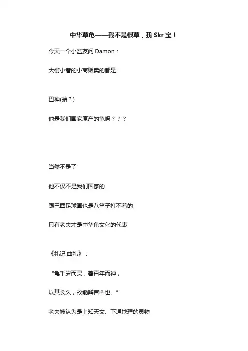 中华草龟——我不是根草，我Skr宝！