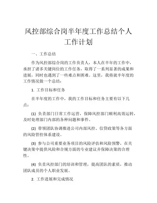 风控部综合岗半年度工作总结个人工作计划