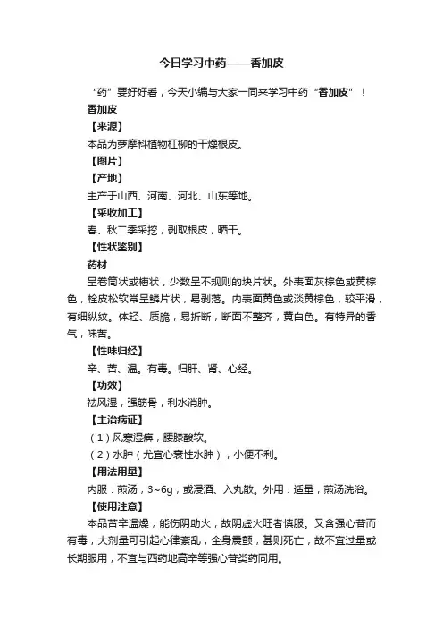 今日学习中药——香加皮