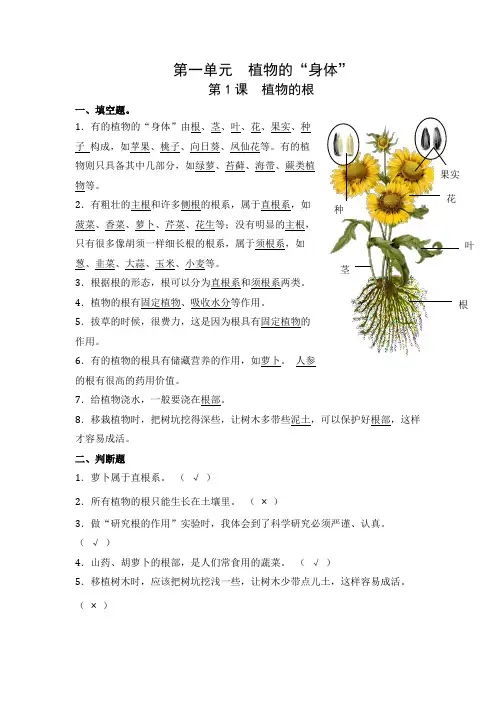 第1课植物的根 青岛版  (含答案)
