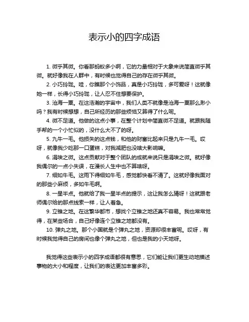 表示小的四字成语