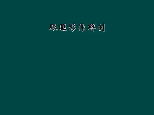 眼眶影像解剖