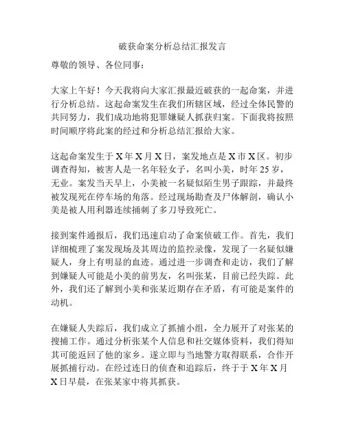 破获命案分析总结汇报发言