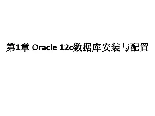 第1章Oracle 12c数据库安装与配置[46页]