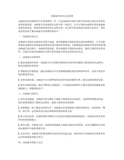 动画速写知识点总结图