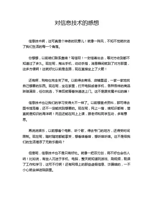 对信息技术的感想