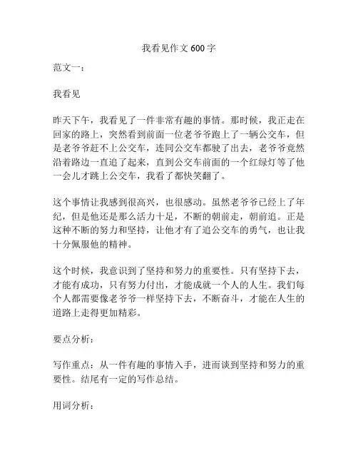 我看见作文600字