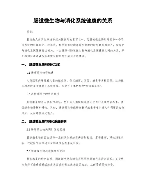 肠道微生物与消化系统健康的关系