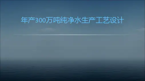 纯净水生产工艺的设计说明书