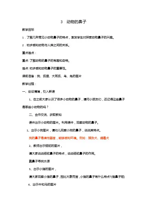 3 动物的鼻子