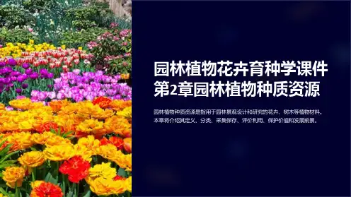 园林植物花卉育种学课件第2章园林植物种质资源
