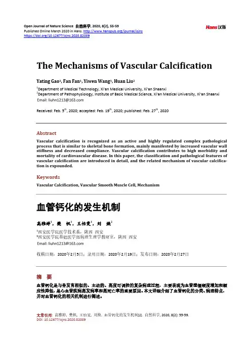 血管钙化的发生机制
