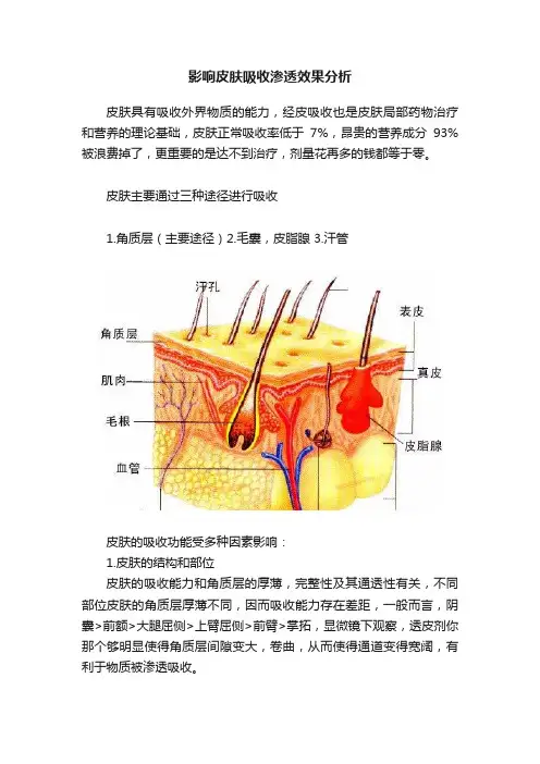 影响皮肤吸收渗透效果分析