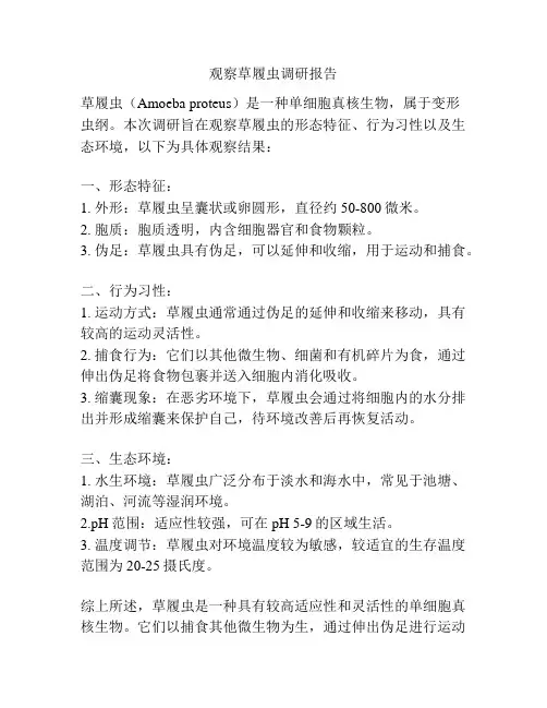 观察草履虫调研报告