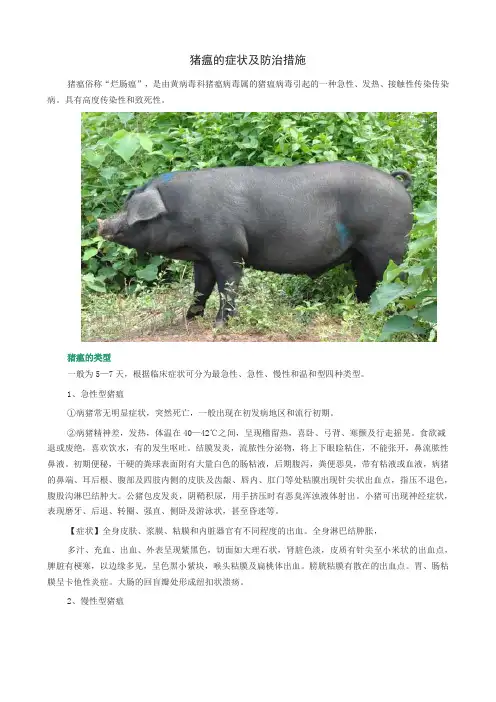 猪瘟的症状及防治措施