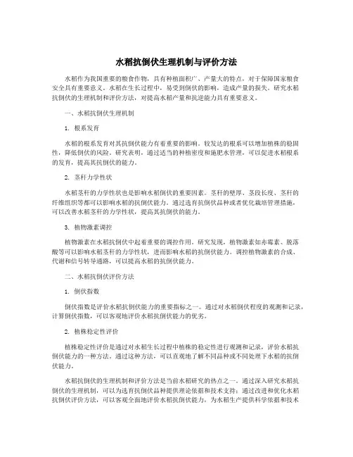 水稻抗倒伏生理机制与评价方法