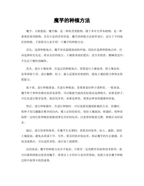 魔芋的种植方法