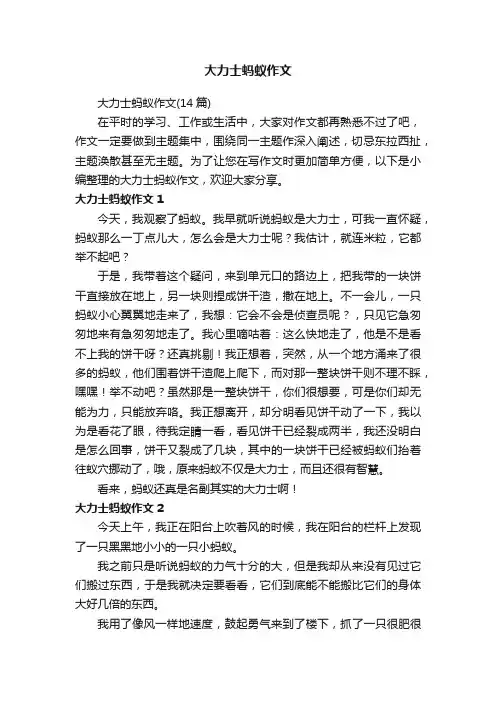 大力士蚂蚁作文（14篇）