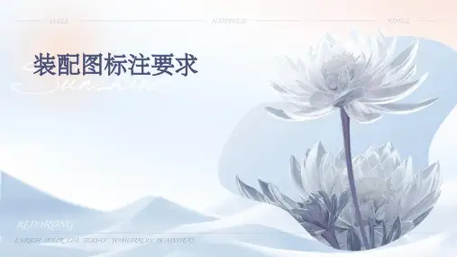 装配图标注要求