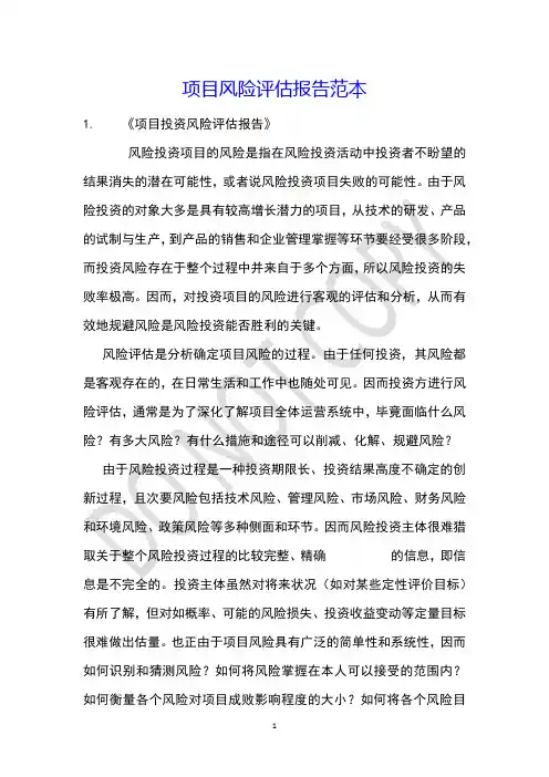 项目风险评估报告范本