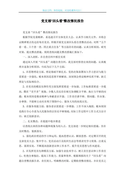 党支部“回头看”整改情况报告