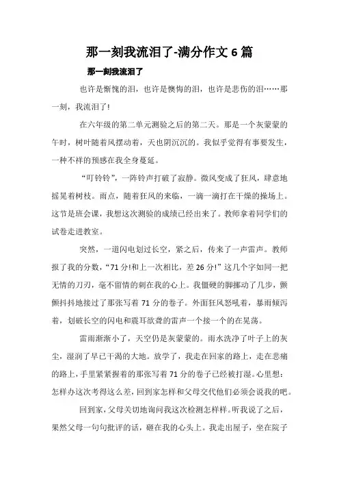 那一刻我流泪了-满分作文6篇