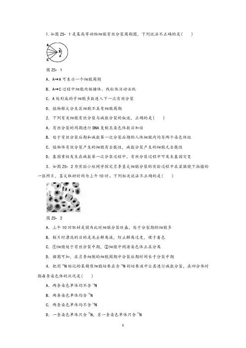 高中生物细胞增殖专题训练试题