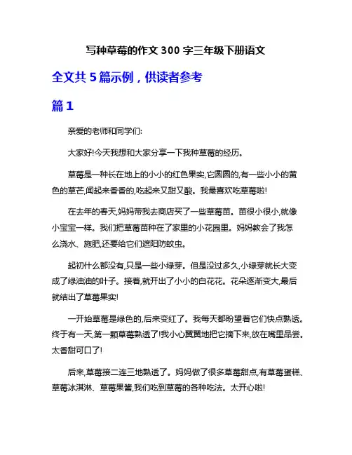 写种草莓的作文300字三年级下册语文