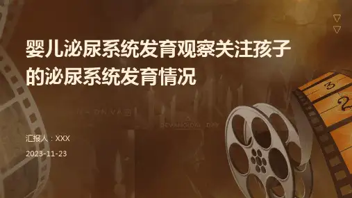 婴儿泌尿系统发育观察关注孩子的泌尿系统发育情况