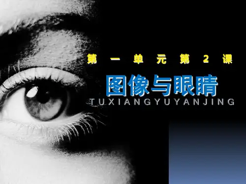 湘美版-高中美术-美术鉴赏-1.2：图像与眼睛