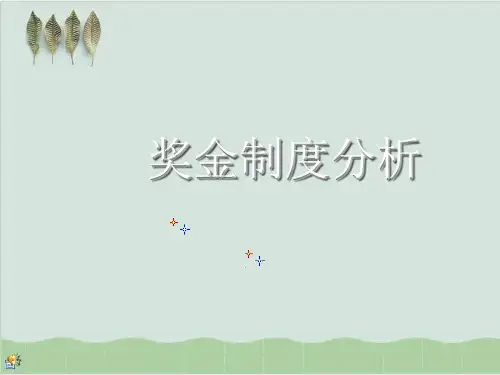 公司奖金制度分析( 34页)PPT课件