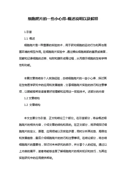细胞爬片的一些小心得-概述说明以及解释