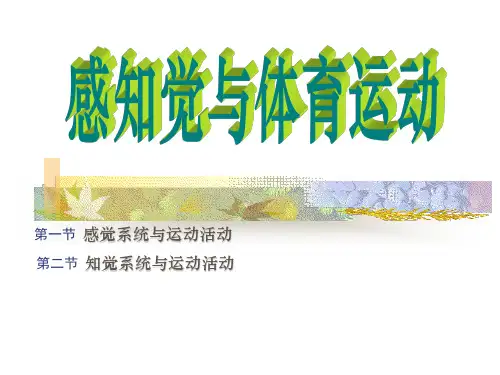 运动心理学第二章  运动活动的感知过程