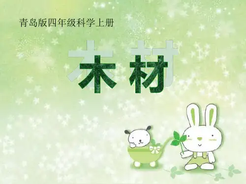 《木材》PPT课件-完美版