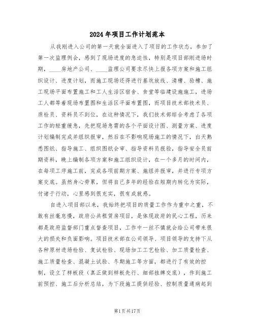 2024年项目工作计划范本(六篇)