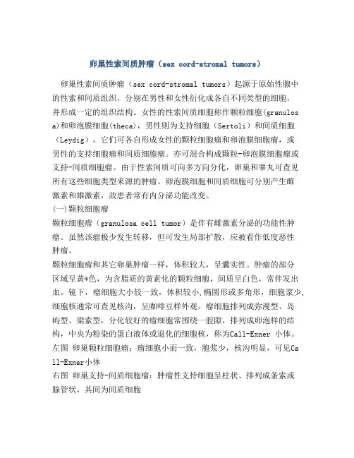 卵巢性索间质肿瘤(sex cord-stromal tumors)