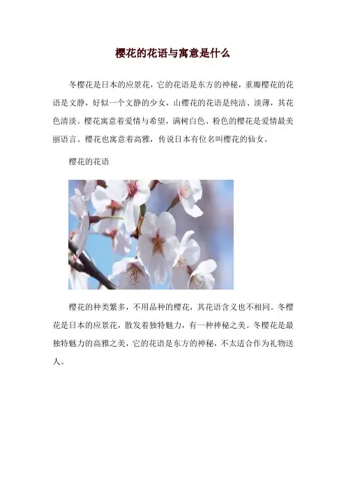 樱花的花语与寓意是什么
