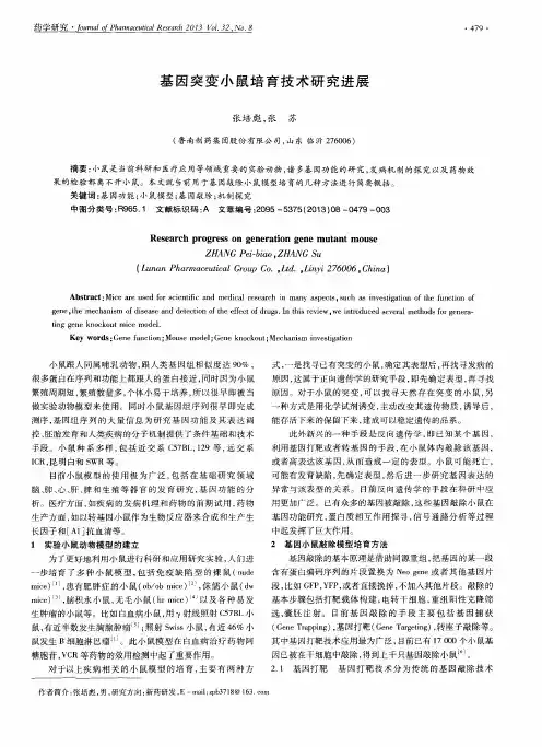 基因突变小鼠培育技术研究进展