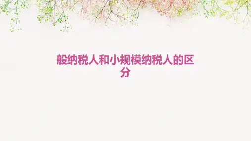般纳税人和小规模纳税人的区分