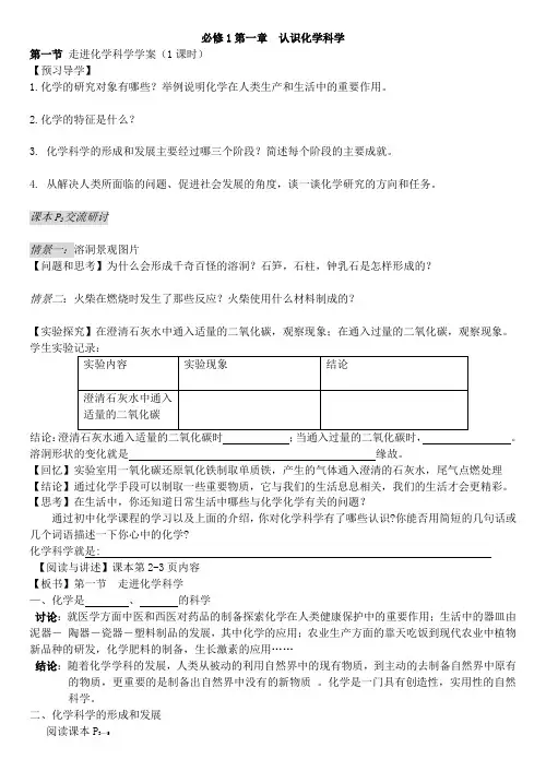 必修1第一章  认识化学科学