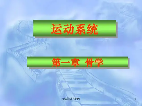 系统解剖学——骨概述课件